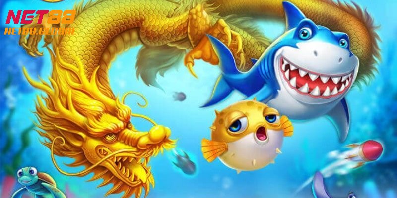 Top lý do khiến săn cá thần rồng luôn được săn đón