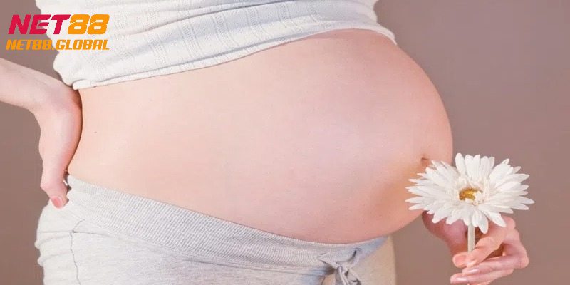 Ý nghĩa giấc mơ thấy có bầu